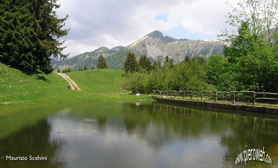 13 Lo stagno e il Monte Timogno.JPG